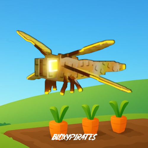 Dragon Fly
