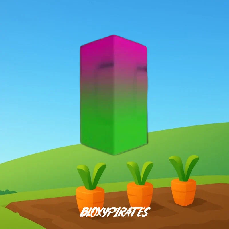 Dragon Fruit Seed