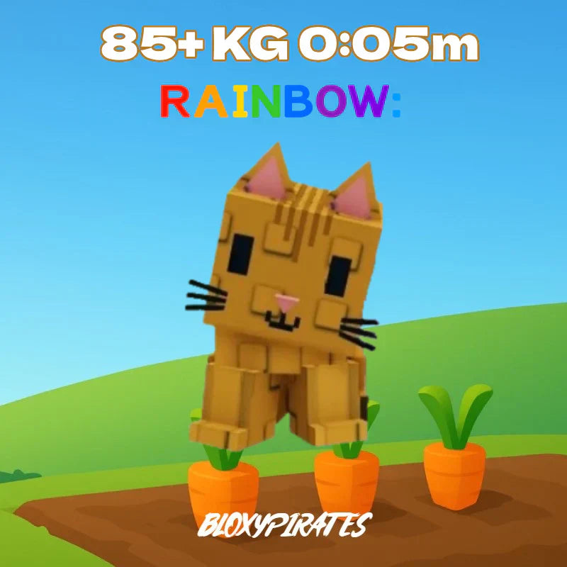 Rainbow Orange Tabby 65-85+ KG 0:05s