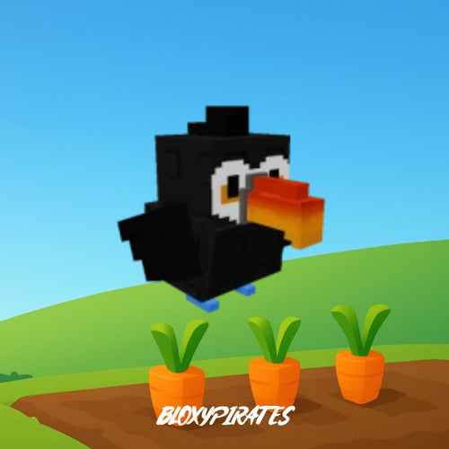 Toucan