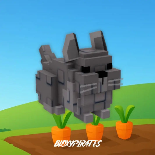 Chinchilla