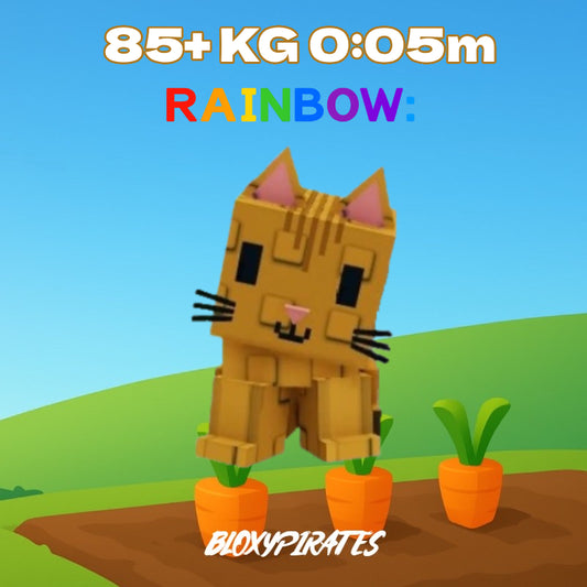 Rainbow Orange Tabby 85+ KG 0:05s